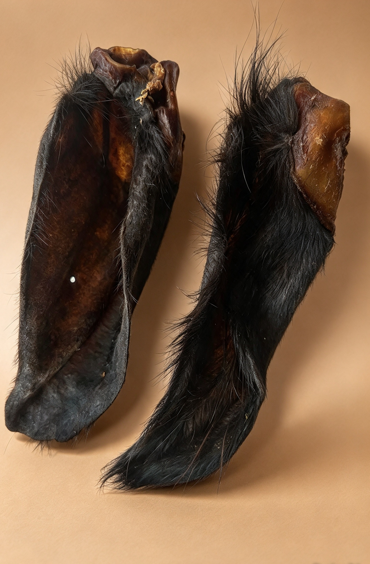 Hairy Buffalo Ears