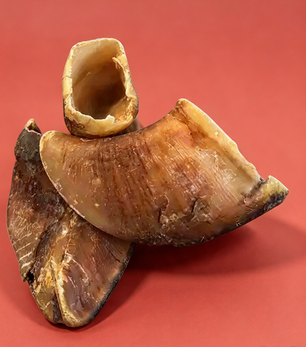 Cow Hooves (2 pieces)