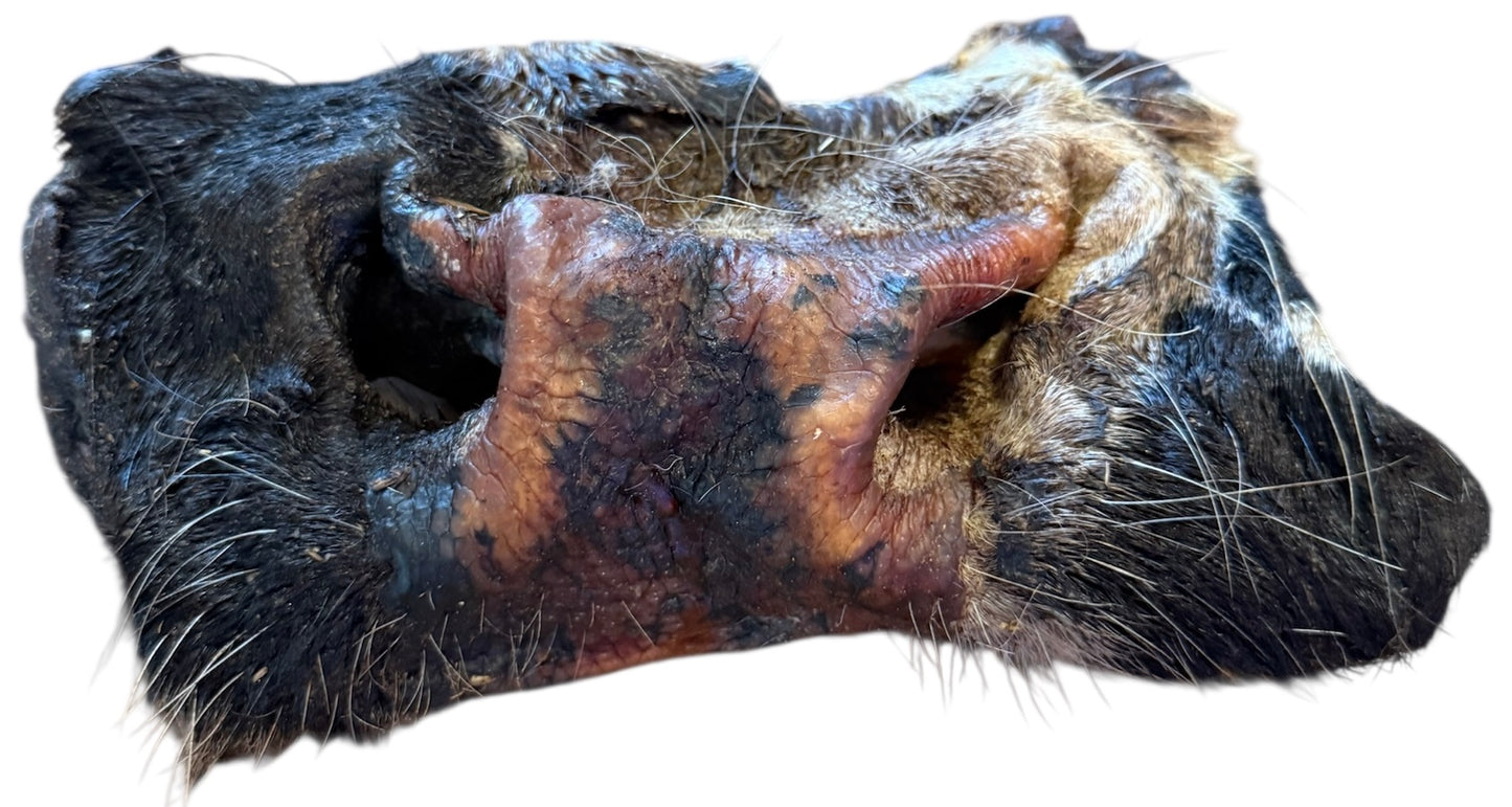Beef Nose