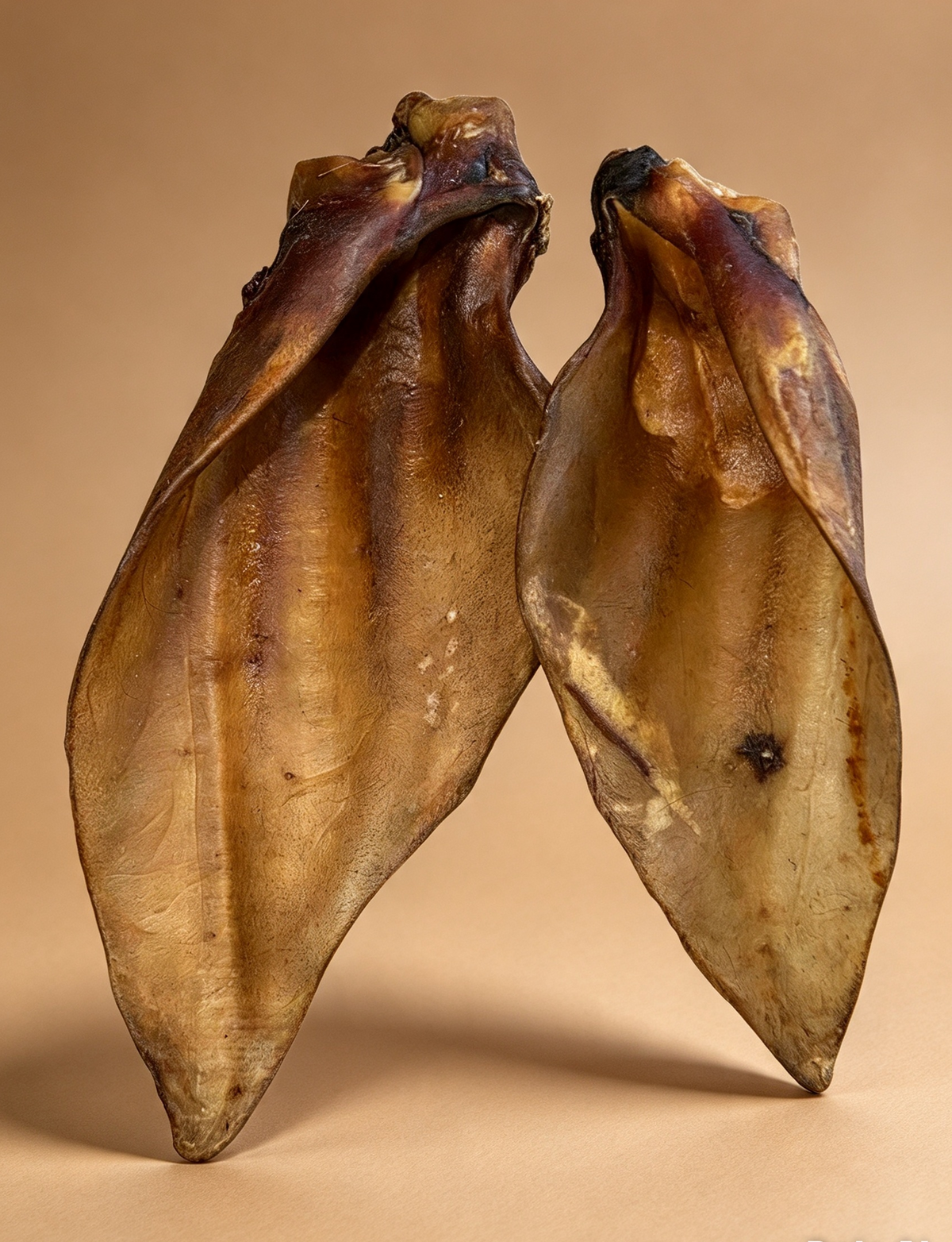 Buffalo Ears
