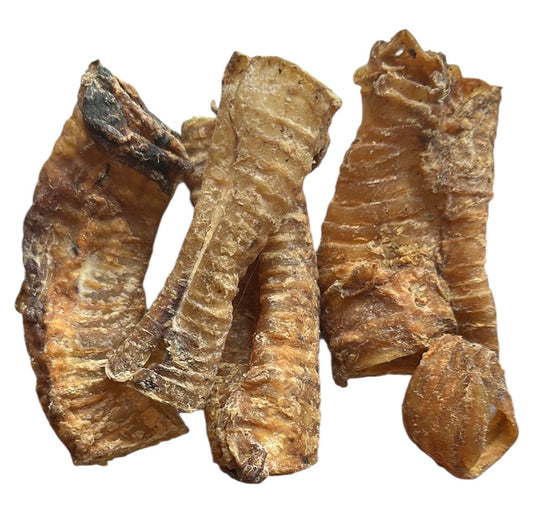 100% Beef Trachea