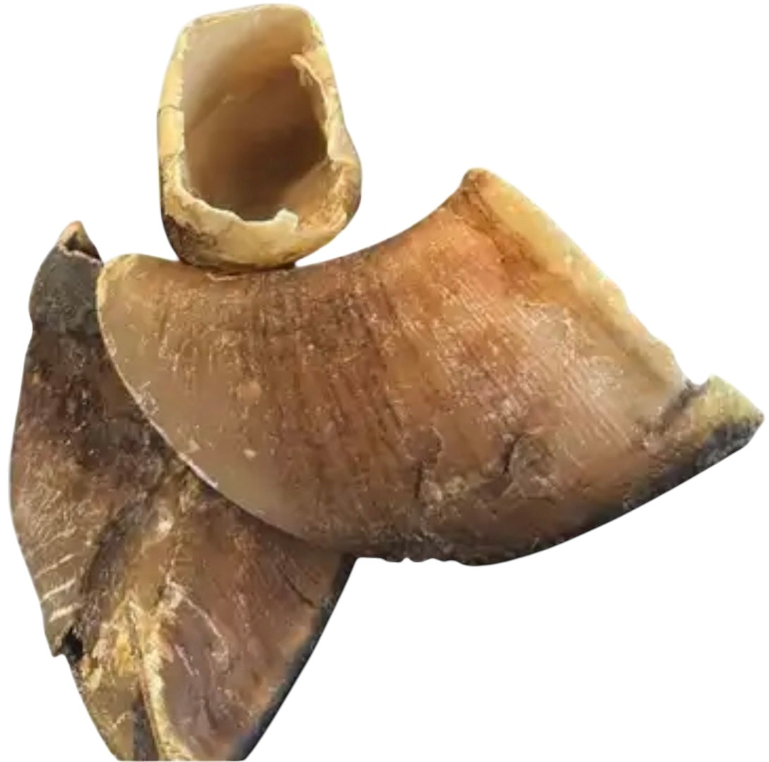 Cow Hooves
